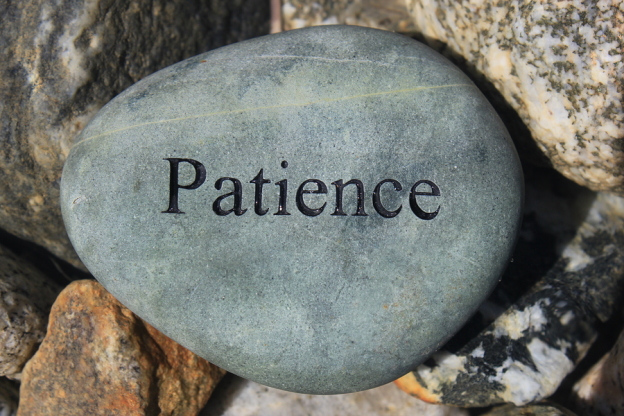 practicing patience for success